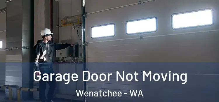  Garage Door Not Moving Wenatchee - WA