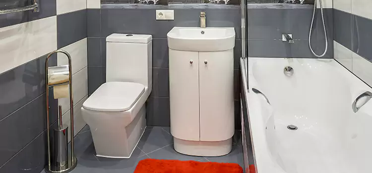 Hansgrohe Shaving Mirror Wenatchee